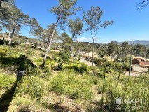 Foto5
