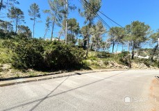 Foto3
