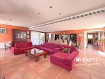 Foto6