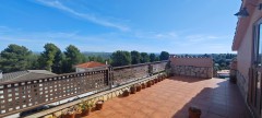 Foto16