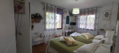 Foto14