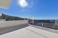 Foto31