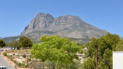 Foto31