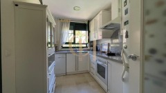 Foto8