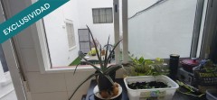 Foto18
