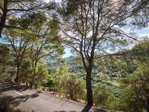 Foto6