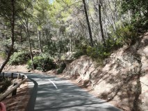 Foto4