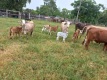 Foto3