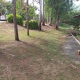 Foto5