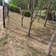 Foto8
