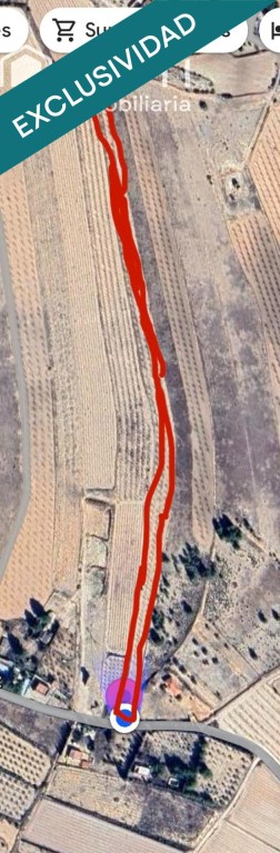 EXCLUSIVA OPORTUNIDAD – PARCELAS RÚSTICAS EN CASAS DE SANCHÍS (MONOVAR).