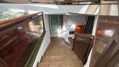 Foto53