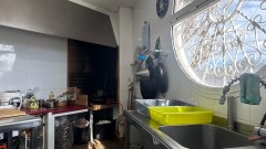 Foto55