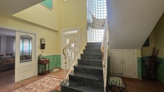 Foto42