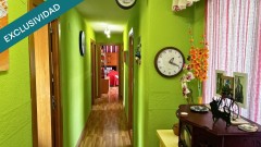 Foto11