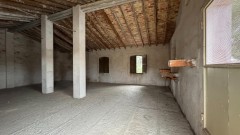 Foto19