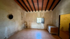 Foto45