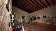 Foto38
