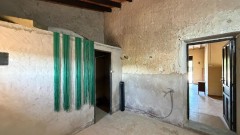 Foto37