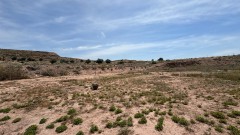 Foto11