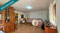 Foto19