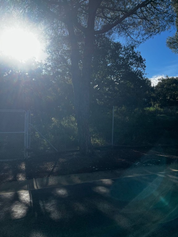 Solar residencial en Venta en Sotogrande Cádiz - foto 2