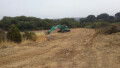 Foto4