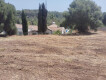 Foto3