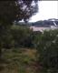 Foto5