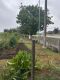 Foto3