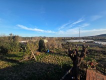 Foto2