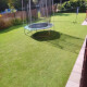 Foto31