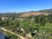 Foto4