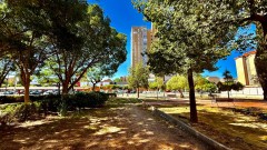 Foto29