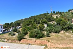 Foto15