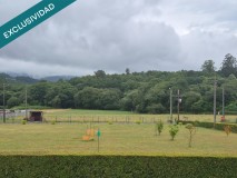 Foto46