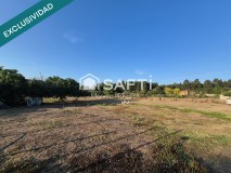Foto6