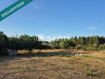 Foto5