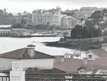 Foto1
