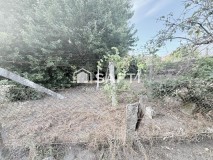 Foto19