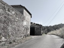 Foto1