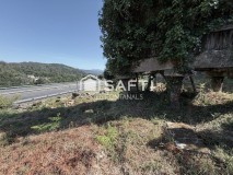 Foto14