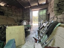 Foto8