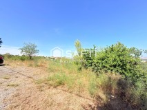 Foto5