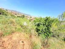 Foto3