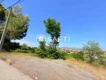 Foto8
