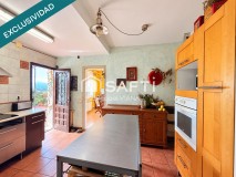 Foto9