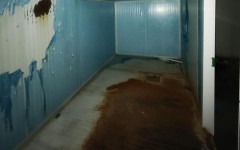 Foto21