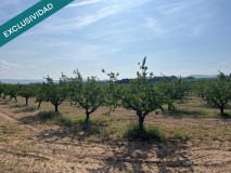 Foto5
