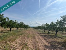 Foto4